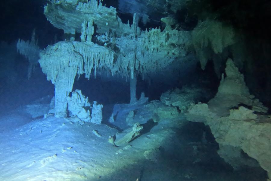 Cenote Diving