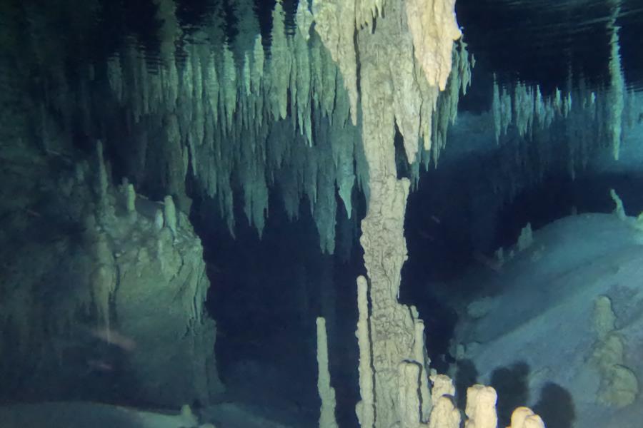Cenote Diving