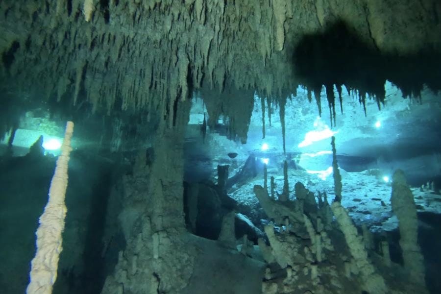 Cenote Diving