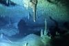 Cenote Diving