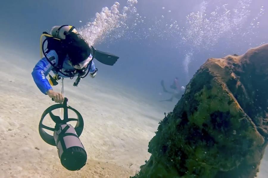 Diving Playa del Carmen