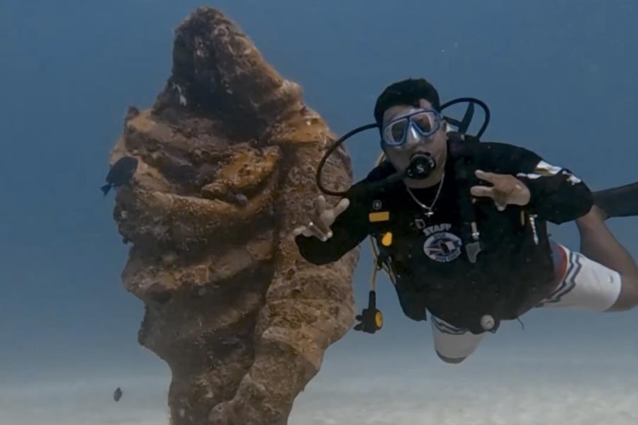 Diving Playa del Carmen
