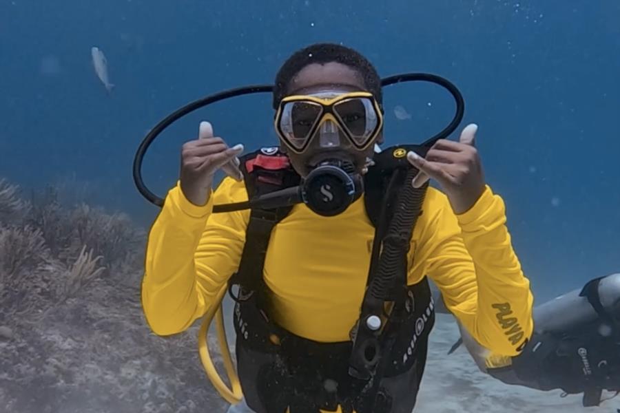 Diving Playa del Carmen