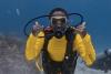 Diving Playa del Carmen