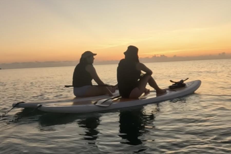 Paddle Board