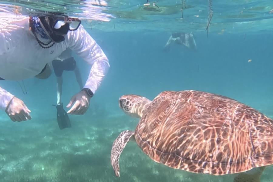 Snorkel Playa del Carmen