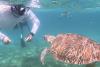 Snorkel Playa del Carmen