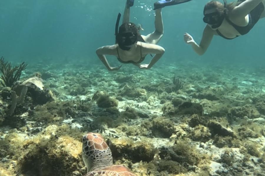 Snorkel Playa del Carmen