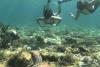 Snorkel Playa del Carmen