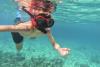 Snorkel Playa del Carmen