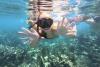 Snorkel Playa del Carmen