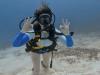 Diving Playa del Carmen