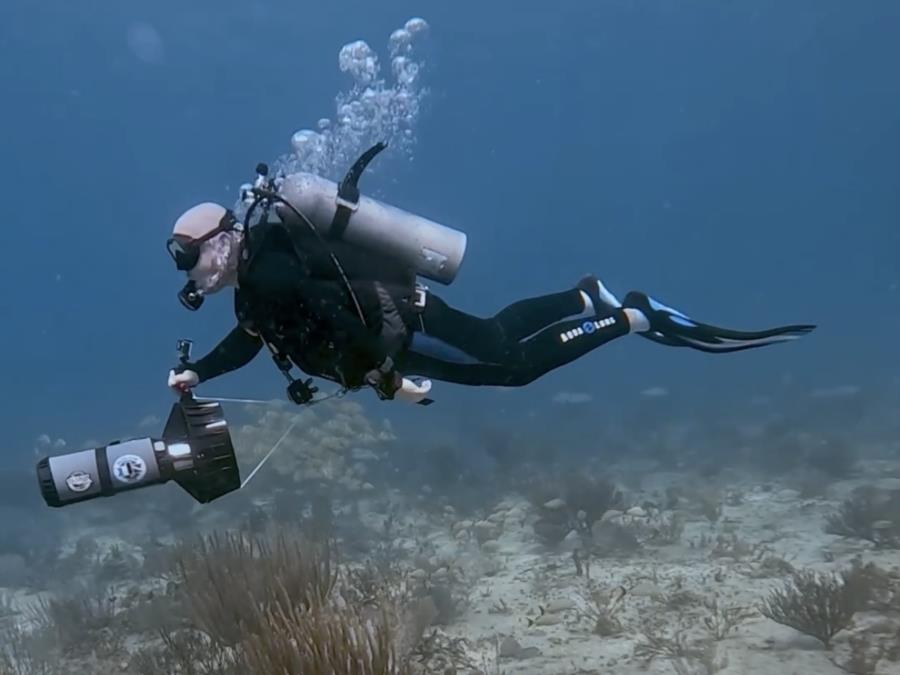 Diving Playa del Carmen
