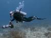 Diving Playa del Carmen