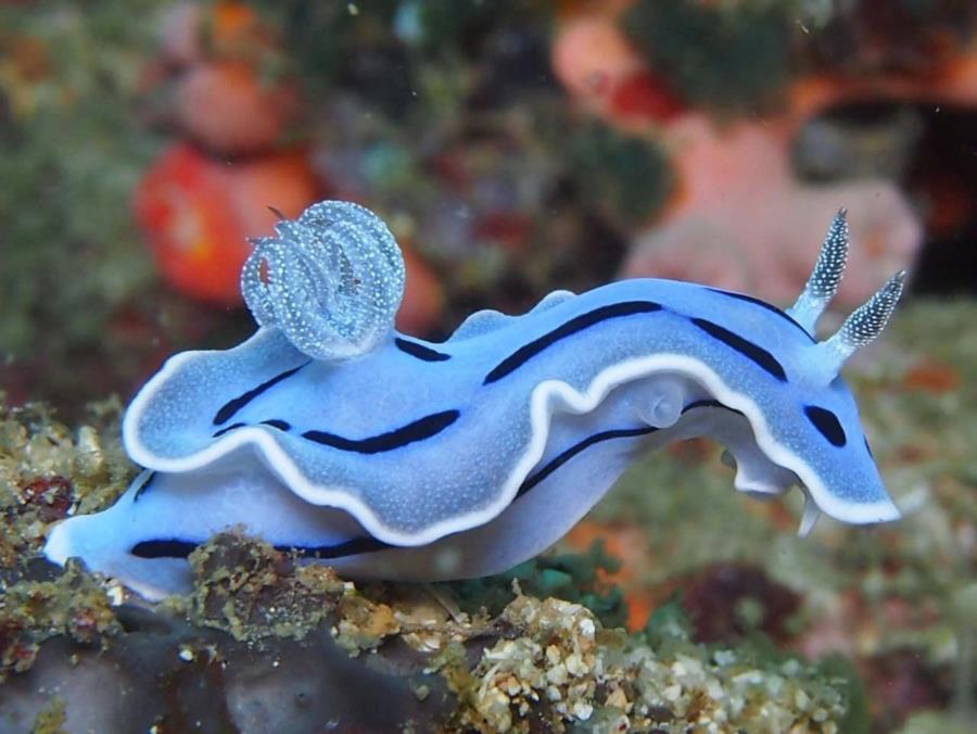 mtld’s Profile Photo