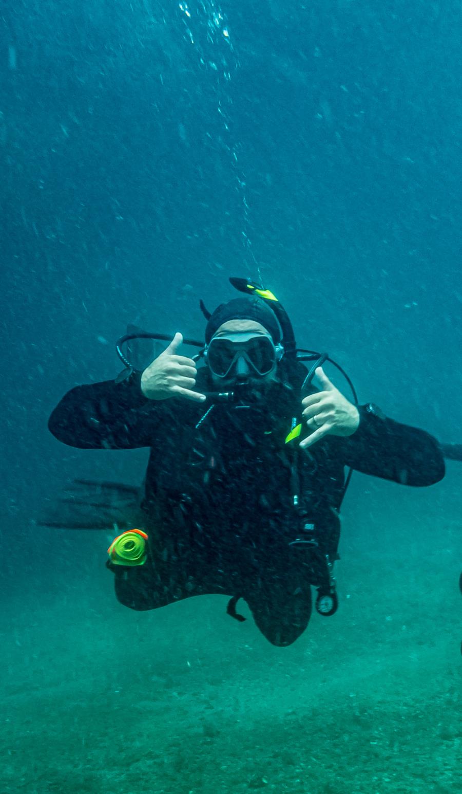 Narcolis’s Profile Photo