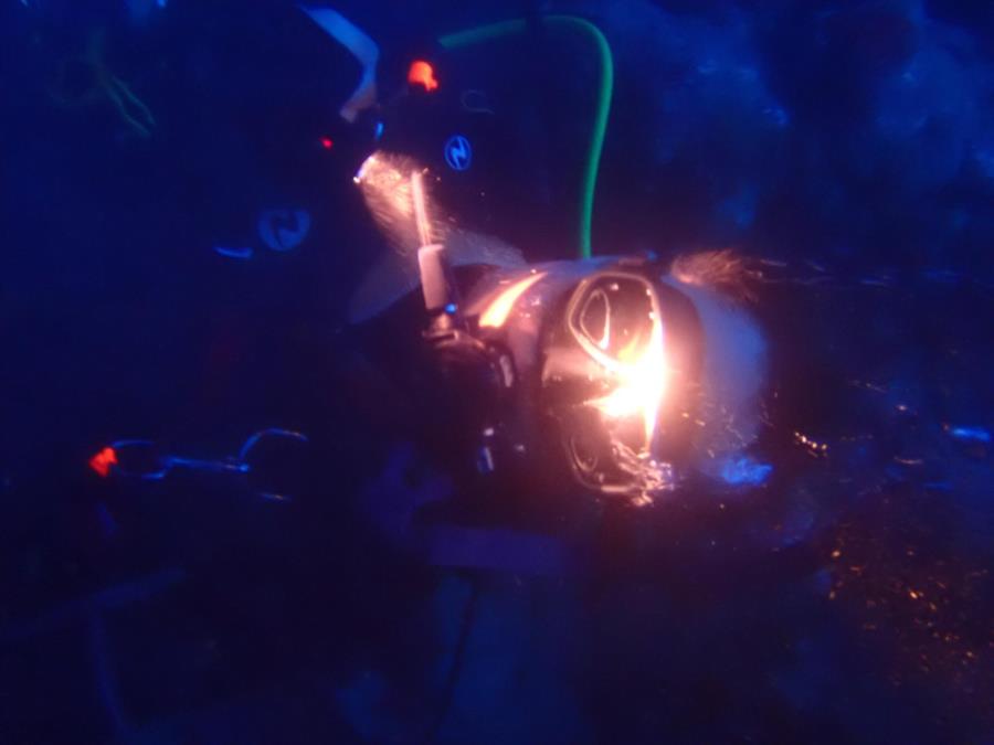 FinMaster-T’s Profile Photo