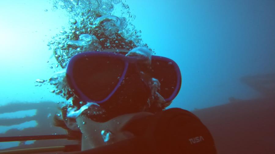 austinsea’s Profile Photo