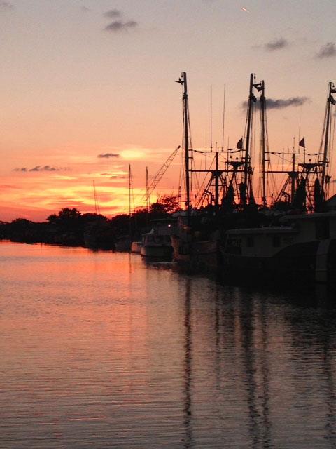 Tarpon Springs docks