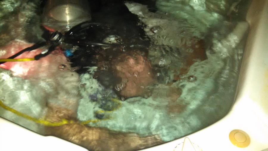 Hot tub dive