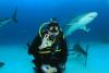 Bahamas Shark Dive 1