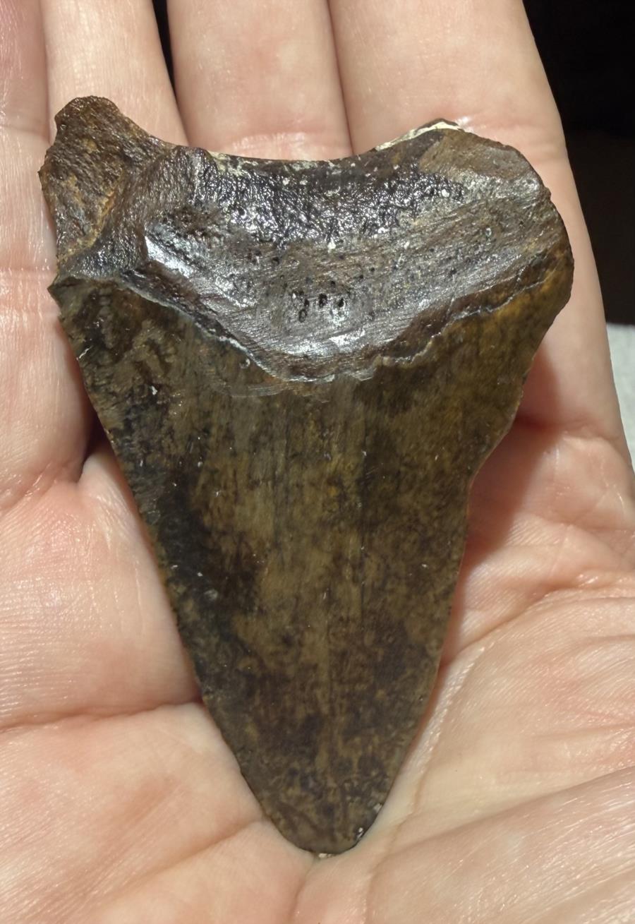 3" Meg - After - Rear