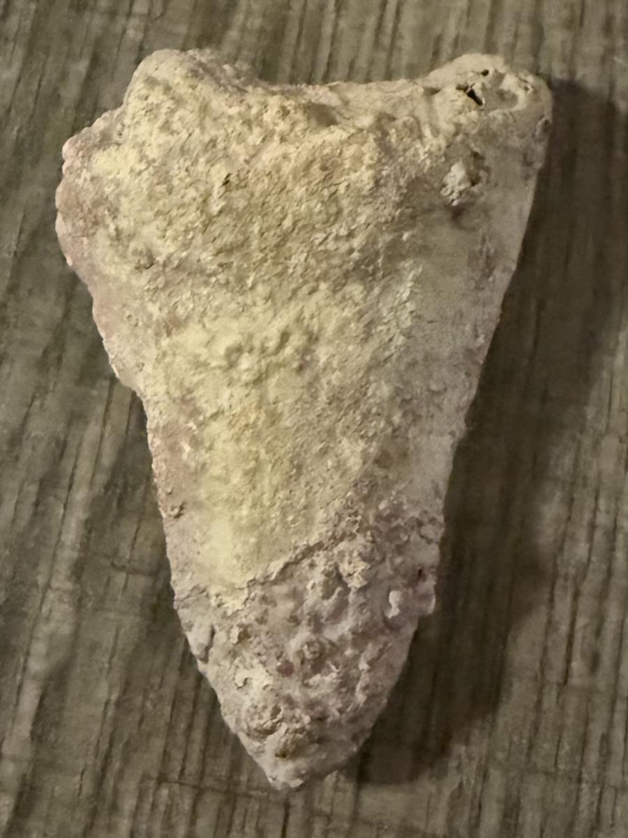 3" Meg - Before - Front