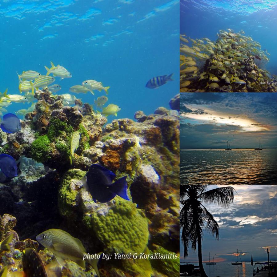 Key Largo, FL, The Reef