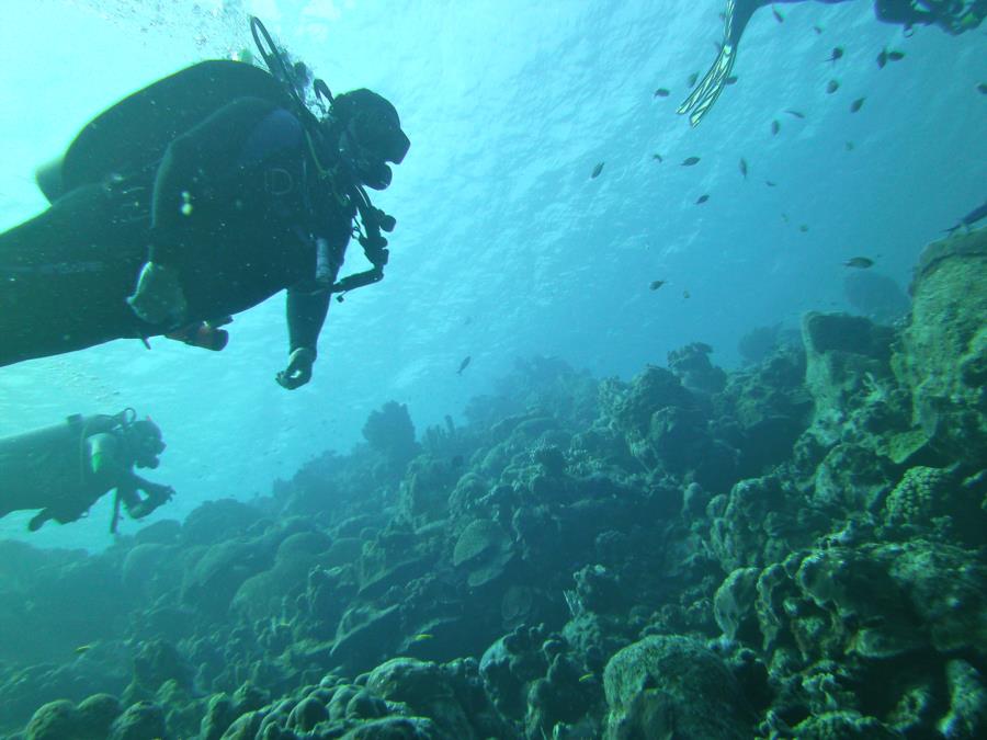 FASJR (divebuddy) in Bonaire