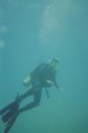 george from Destin FL | Scuba Diver