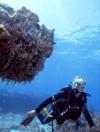 Mina from Miami FL | Scuba Diver