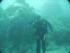 Hal from Bellmawr NJ | Scuba Diver