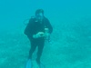 Divew Trip to Puerto Vallatra