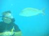 Jack from West Hartford CT | Scuba Diver