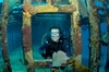 Lyn from Granite Bay CA | Scuba Diver