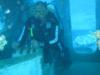 Safa from Ajax Ontario | Scuba Diver