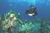 Mike from Roswell GA | Scuba Diver