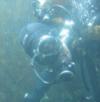 Justin from Vancouver BC | Scuba Diver