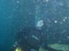 Justin from Orlando FL | Scuba Diver