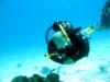 Bob from Glen Rock NJ | Scuba Diver