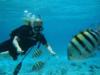 Rhonda from Kennett Square PA | Scuba Diver