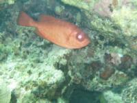 Tunnels - Grand Turk