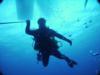 randy from Newport NC | Scuba Diver