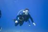 Joe from Brooksville FL | Scuba Diver