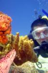 Dave from Simi Valley CA | Scuba Diver