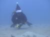 David from Duncanville TX | Scuba Diver