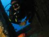 Andre from Recife Pernambuco | Scuba Diver