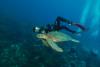 Diving in Maria La Gorda - Cuba