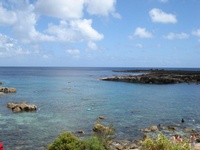 Diving in Hawaii