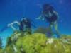 Candace from West Palm Beach FL | Scuba Diver